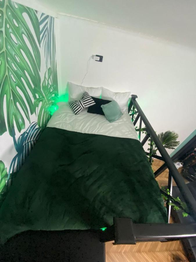 Green Vibes Central Brasov Exterior photo